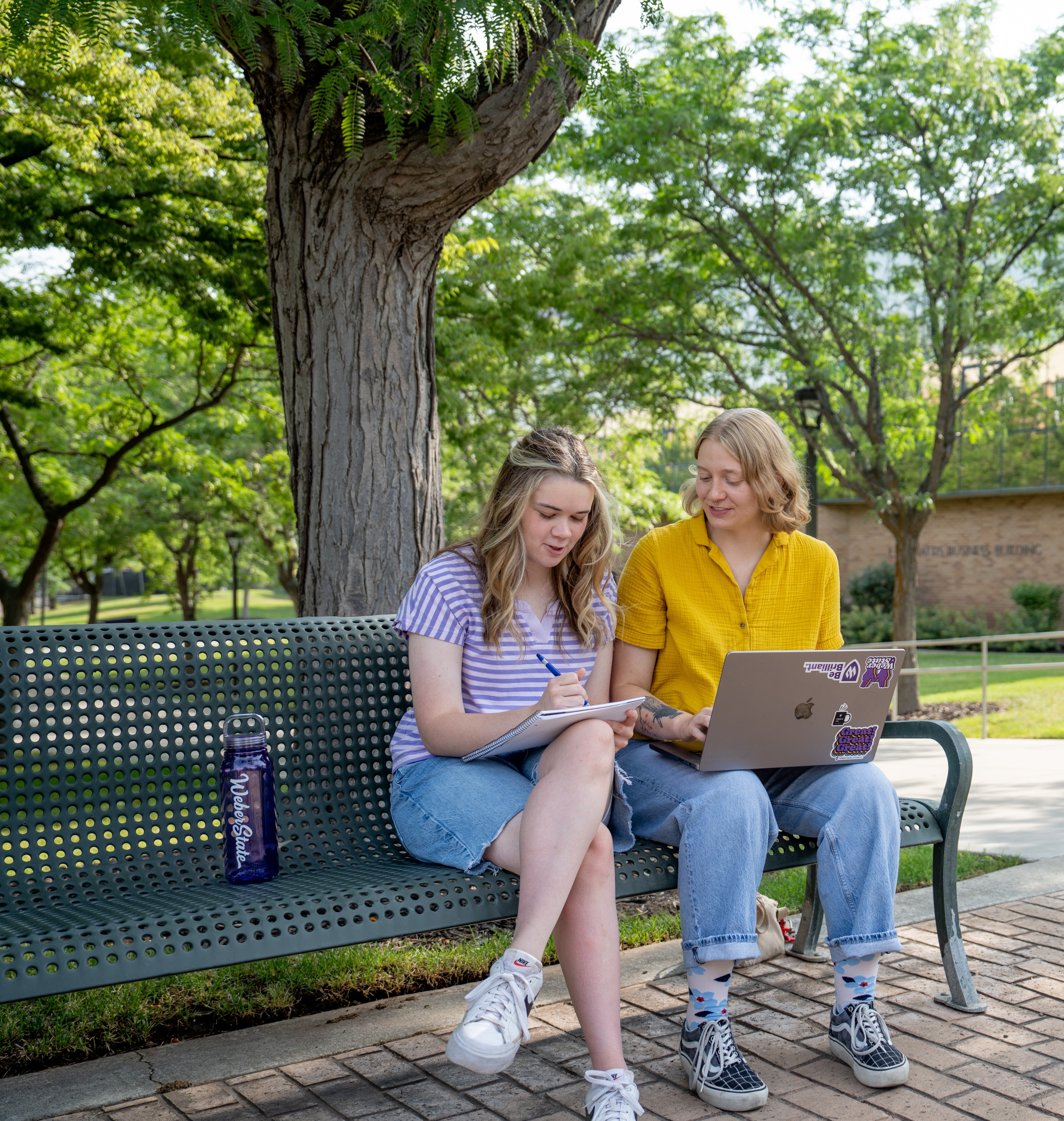 Students using laptops outdoors